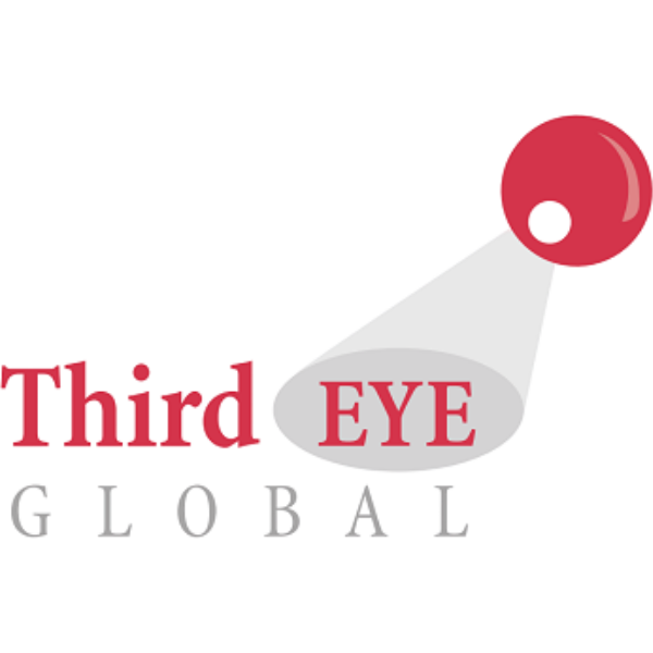 Third Eye Global.png
